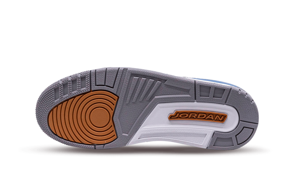 Air Jordan 3 Retro Wizards